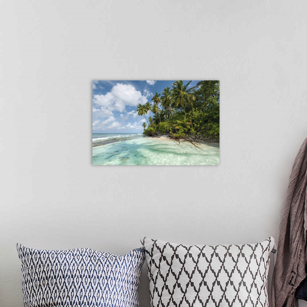 A bohemian room featuring A tranquil and relaxing photograph of clear waters and tropical palm trees under a blue sky