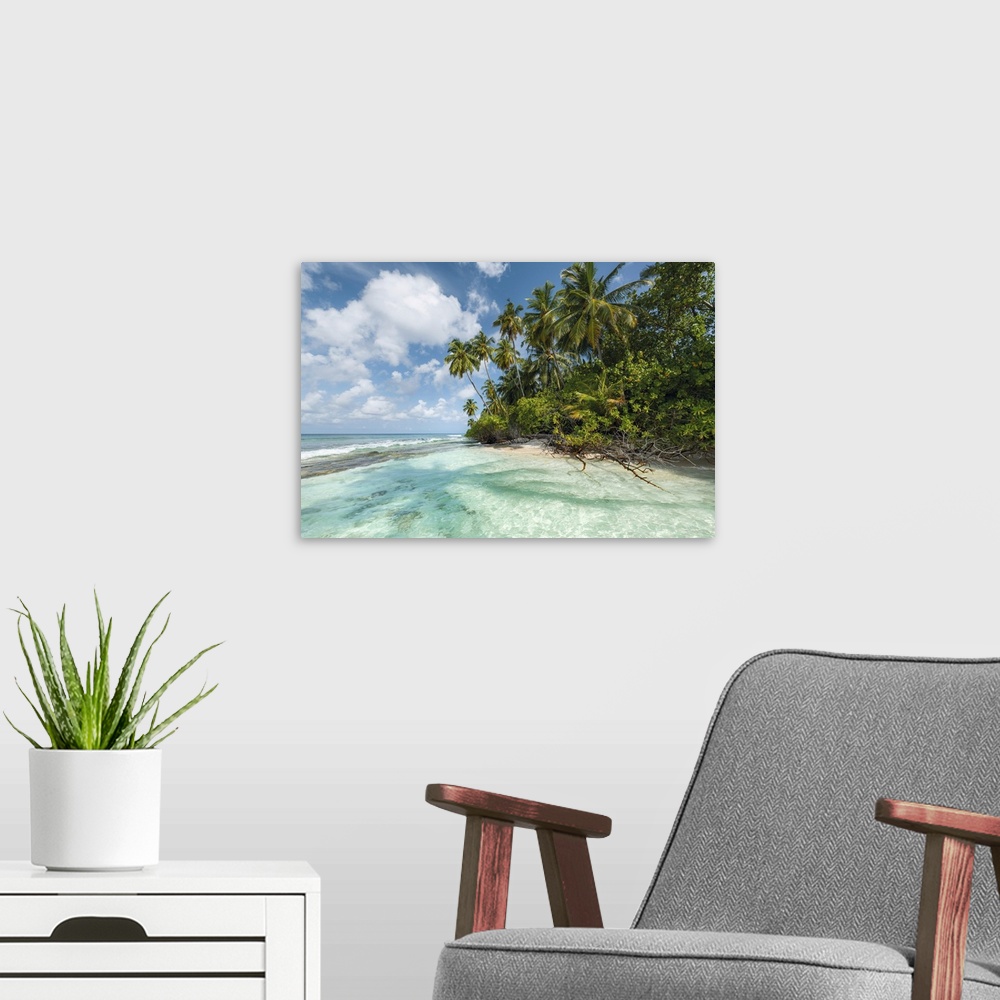 A modern room featuring A tranquil and relaxing photograph of clear waters and tropical palm trees under a blue sky
