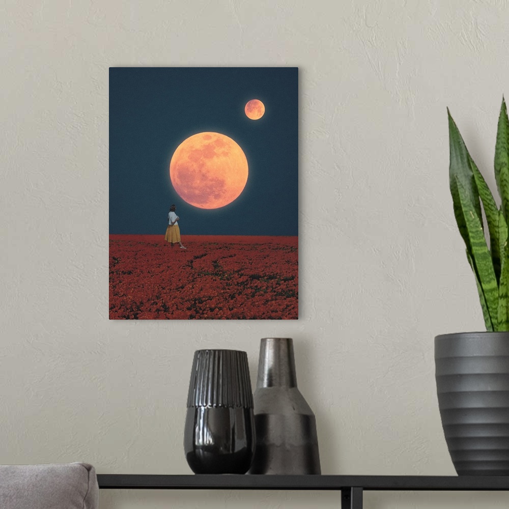 A modern room featuring Twin Moons