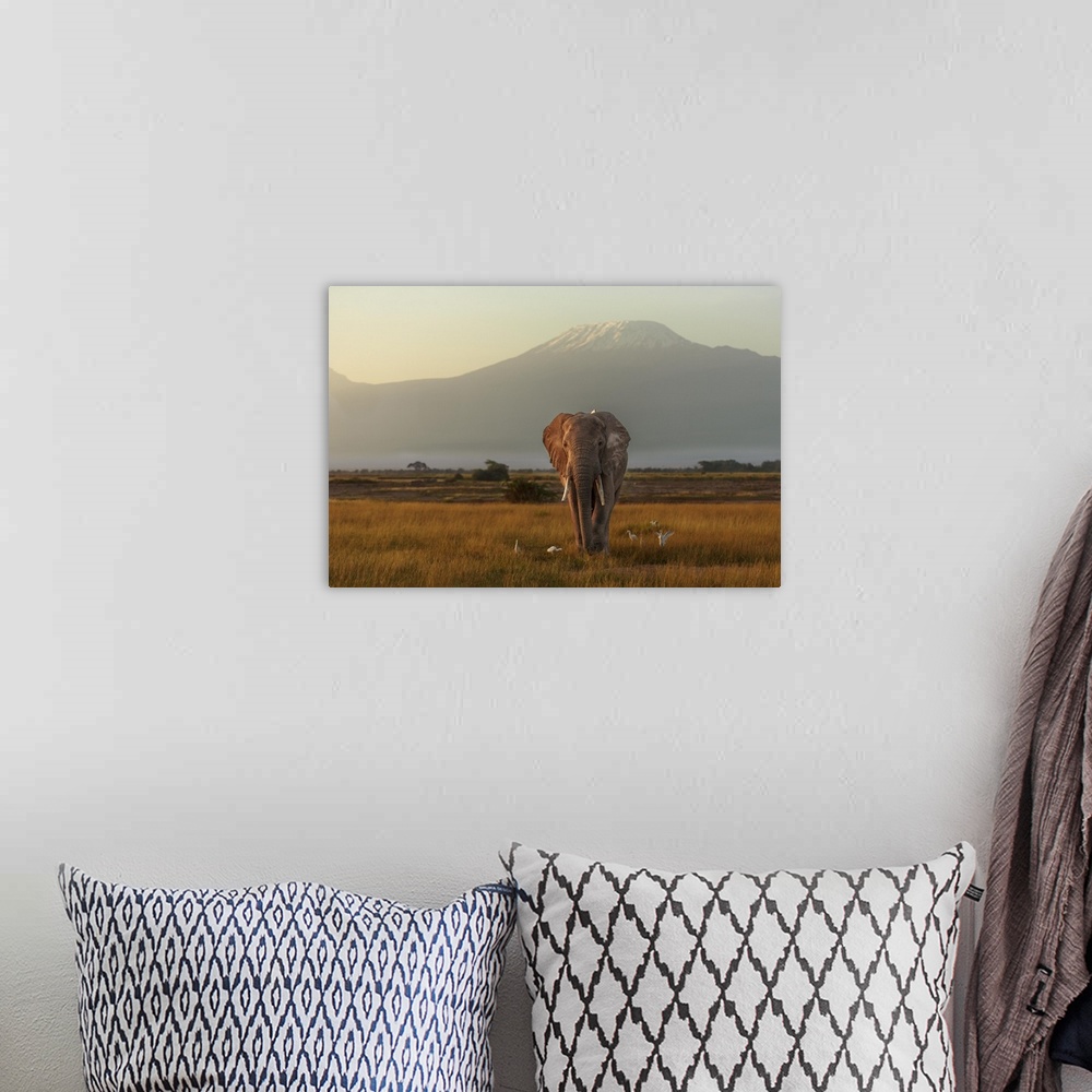 A bohemian room featuring Landscape photograph of the African savannah with an elephant walking with a bird on its back as ...