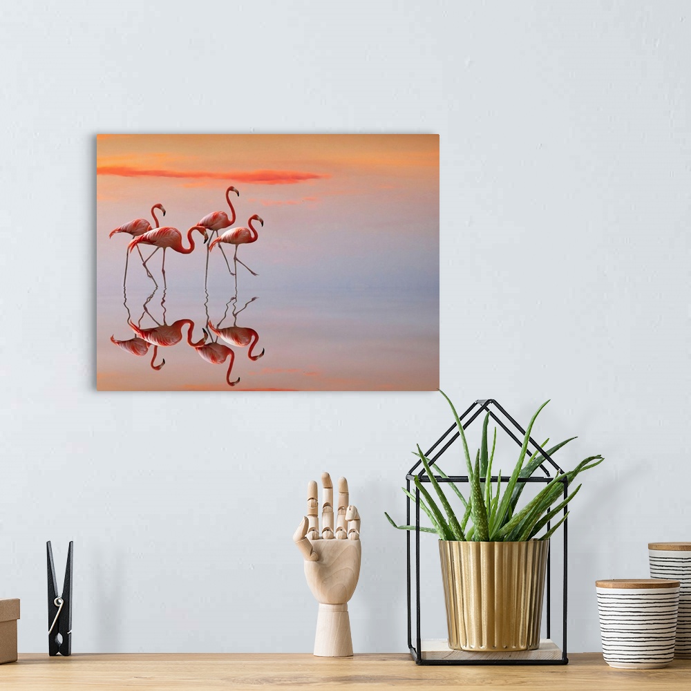 A bohemian room featuring Four flamingos walk delicately in shallow water.