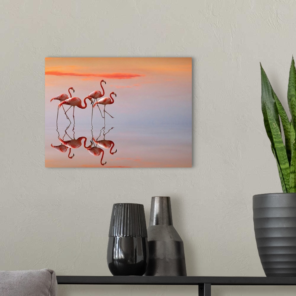 A modern room featuring Four flamingos walk delicately in shallow water.