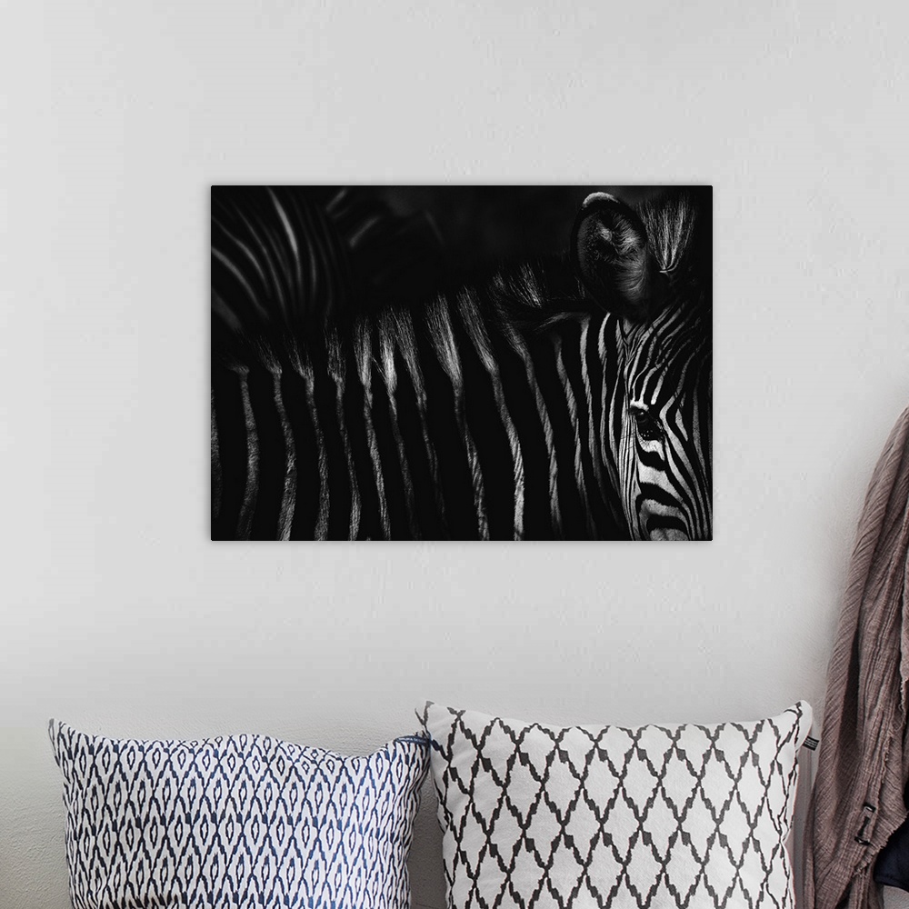 A bohemian room featuring Black and white photograph of a zebra, highlighting its contrasting striped fur.