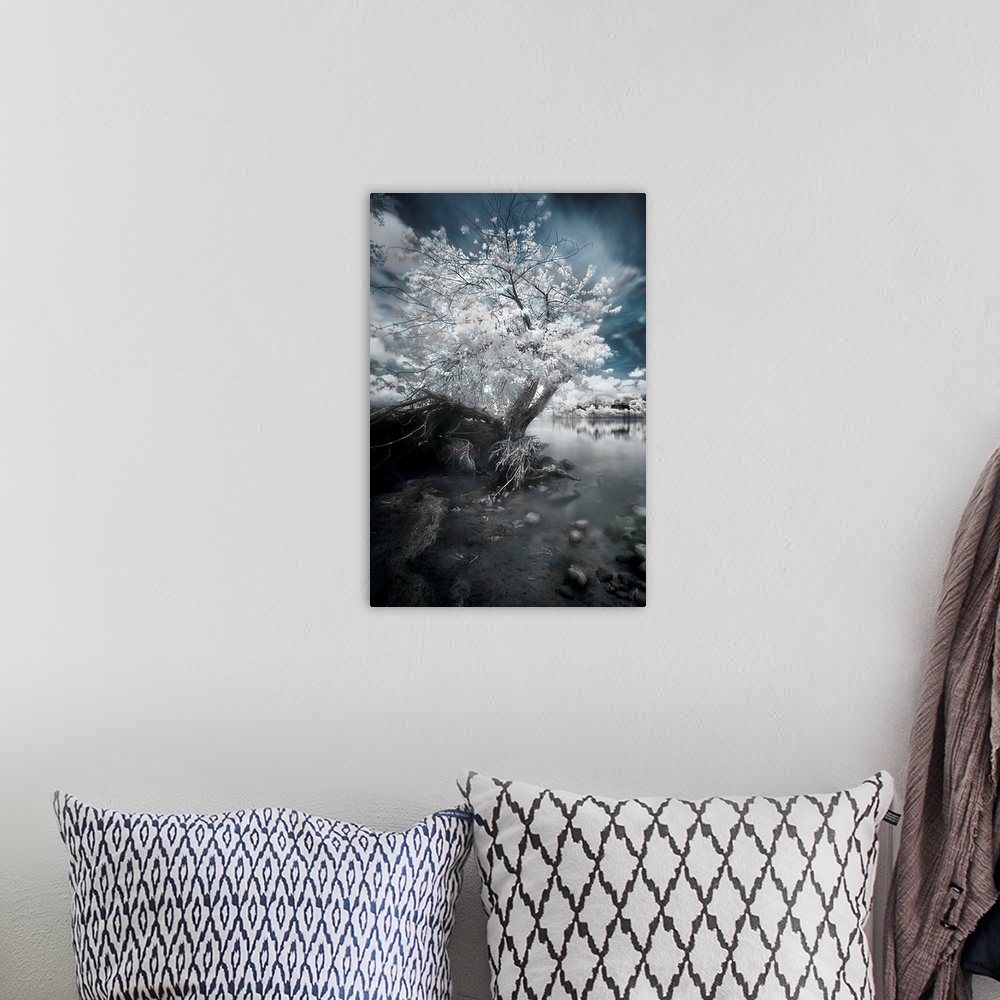 A bohemian room featuring A fine art photo of a tree with white foliage rooted on the rocky edge of a river.