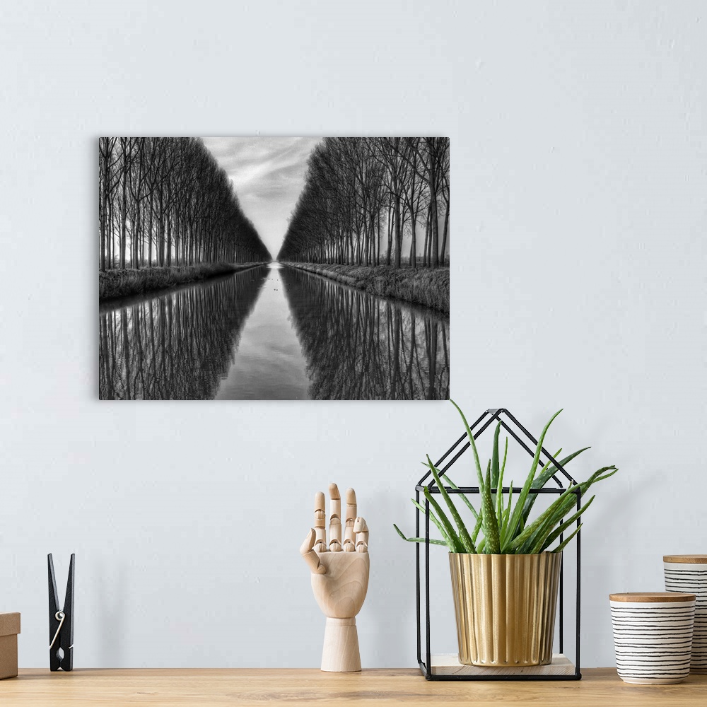 A bohemian room featuring Black and white image of trees lining a canal in Belgium.