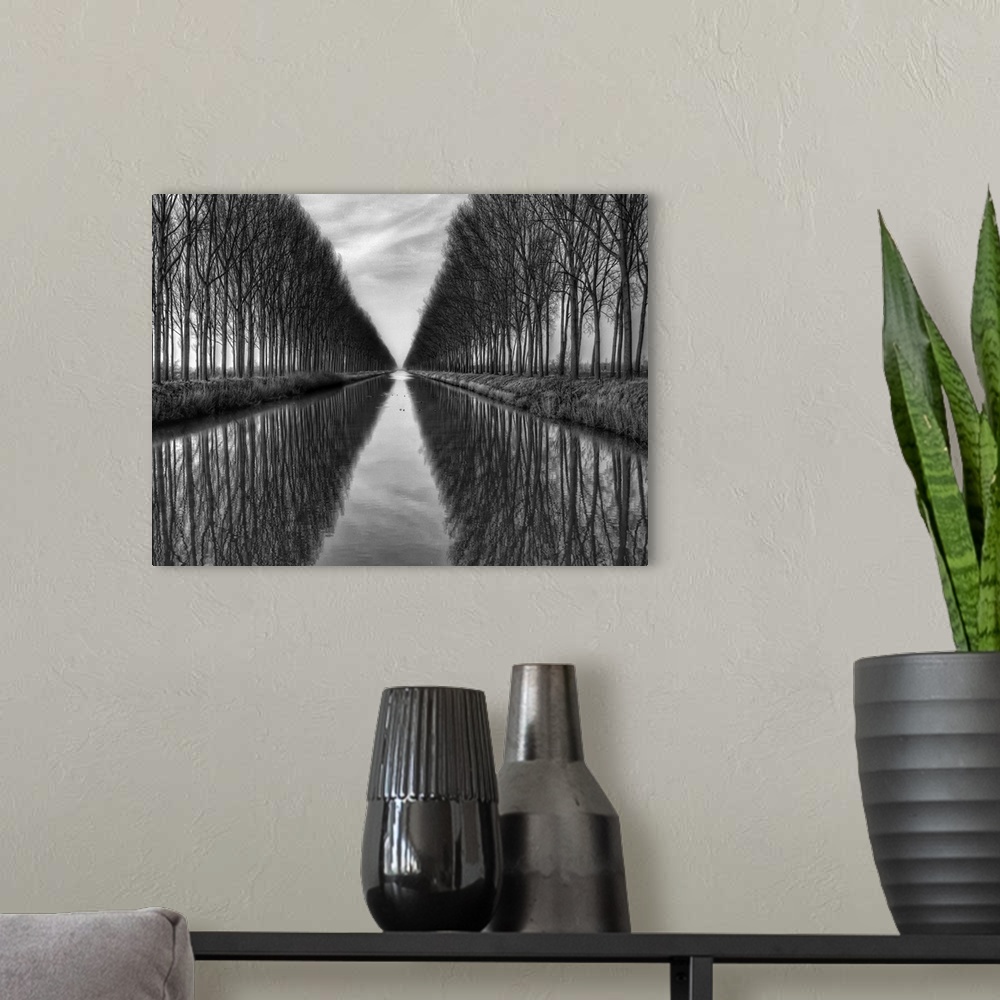 A modern room featuring Black and white image of trees lining a canal in Belgium.
