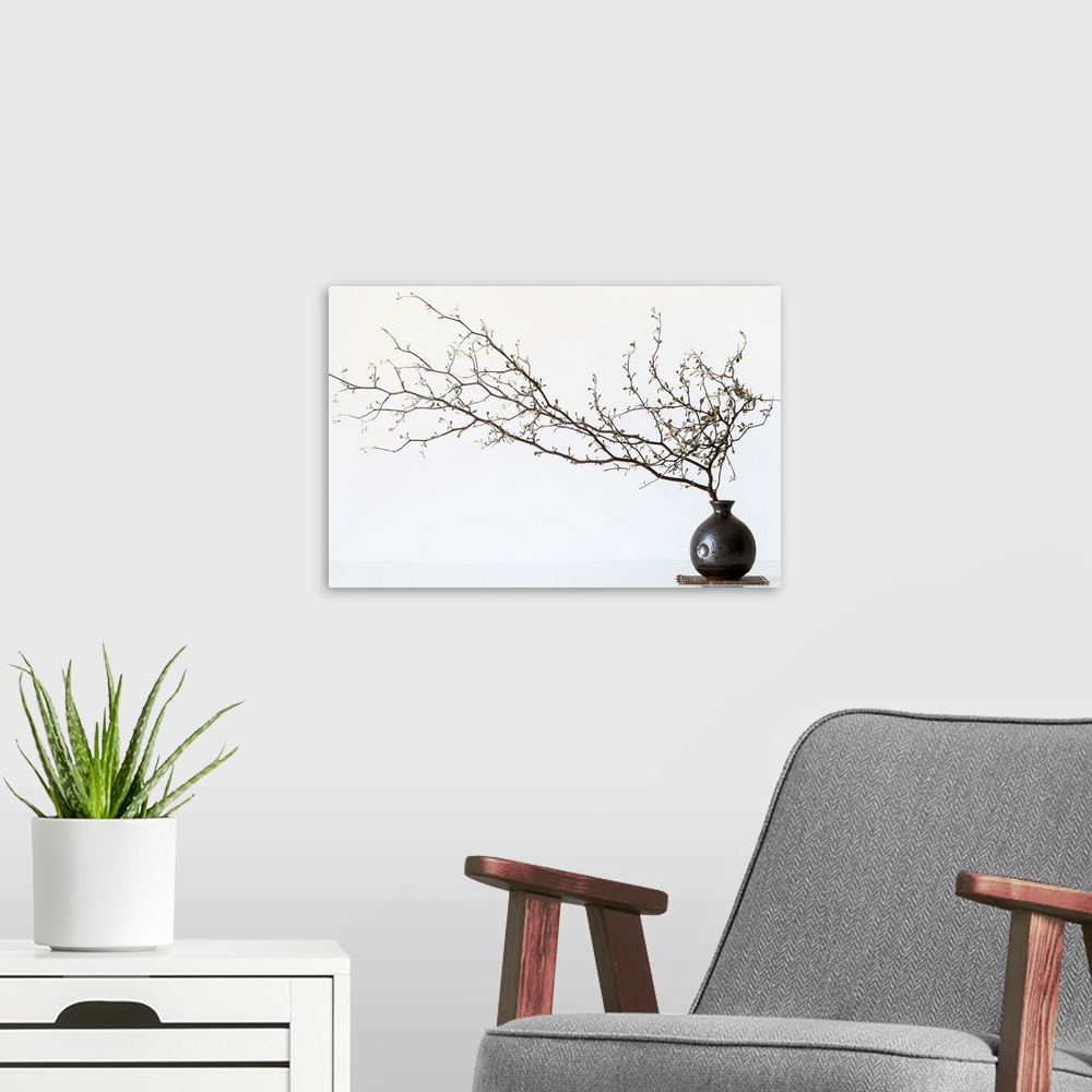 A modern room featuring Still life photography of a branch with several small flowers in a round vase.