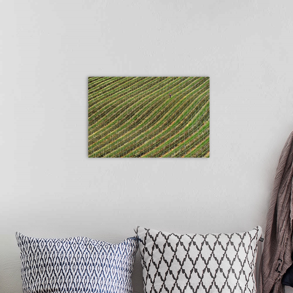 A bohemian room featuring Rows of crops in a vineyard, creating an abstract image.