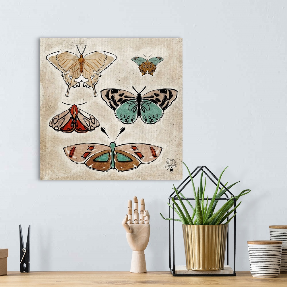 A bohemian room featuring Vintage Butterflies