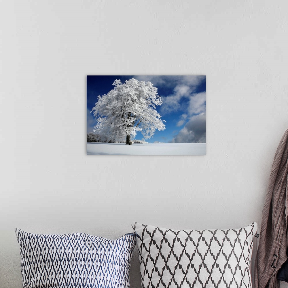 A bohemian room featuring A German winter landscape with a tall tree covered in white foliage.