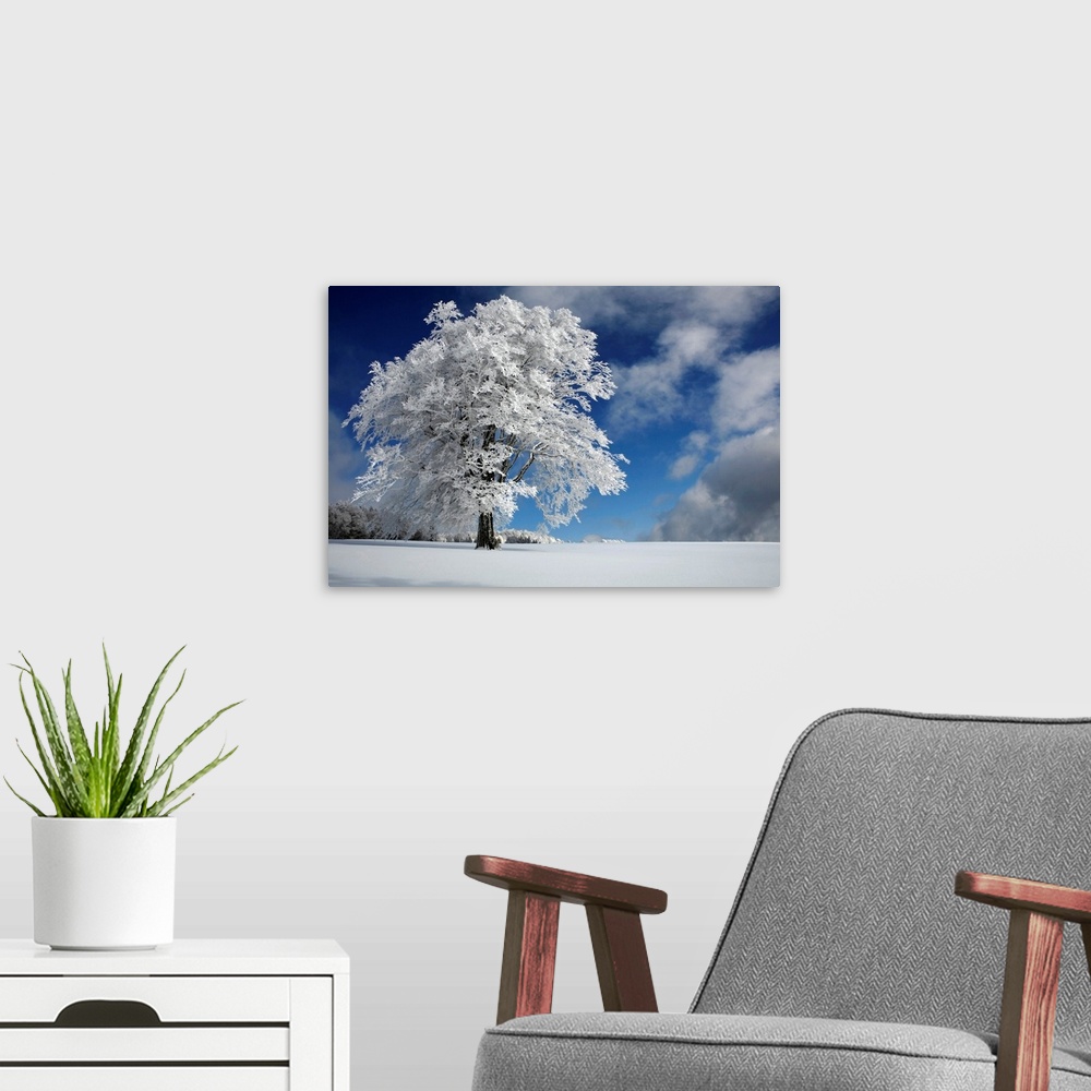A modern room featuring A German winter landscape with a tall tree covered in white foliage.