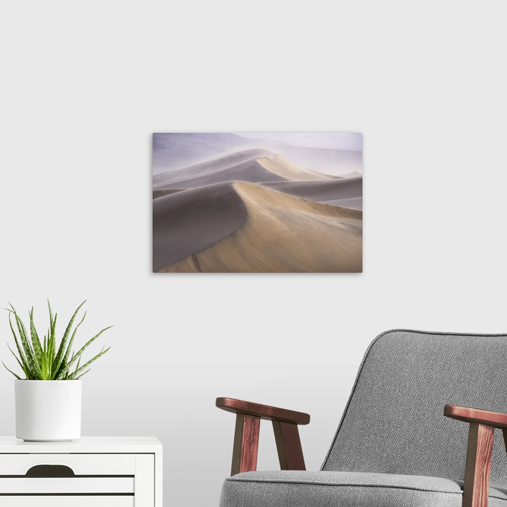 A modern room featuring Wind storm over the dunes, death valley, california