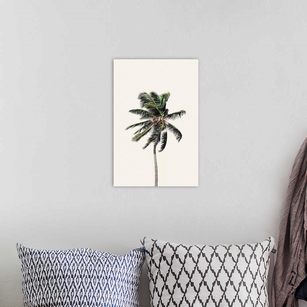 A bohemian room featuring Windy Palm Tree