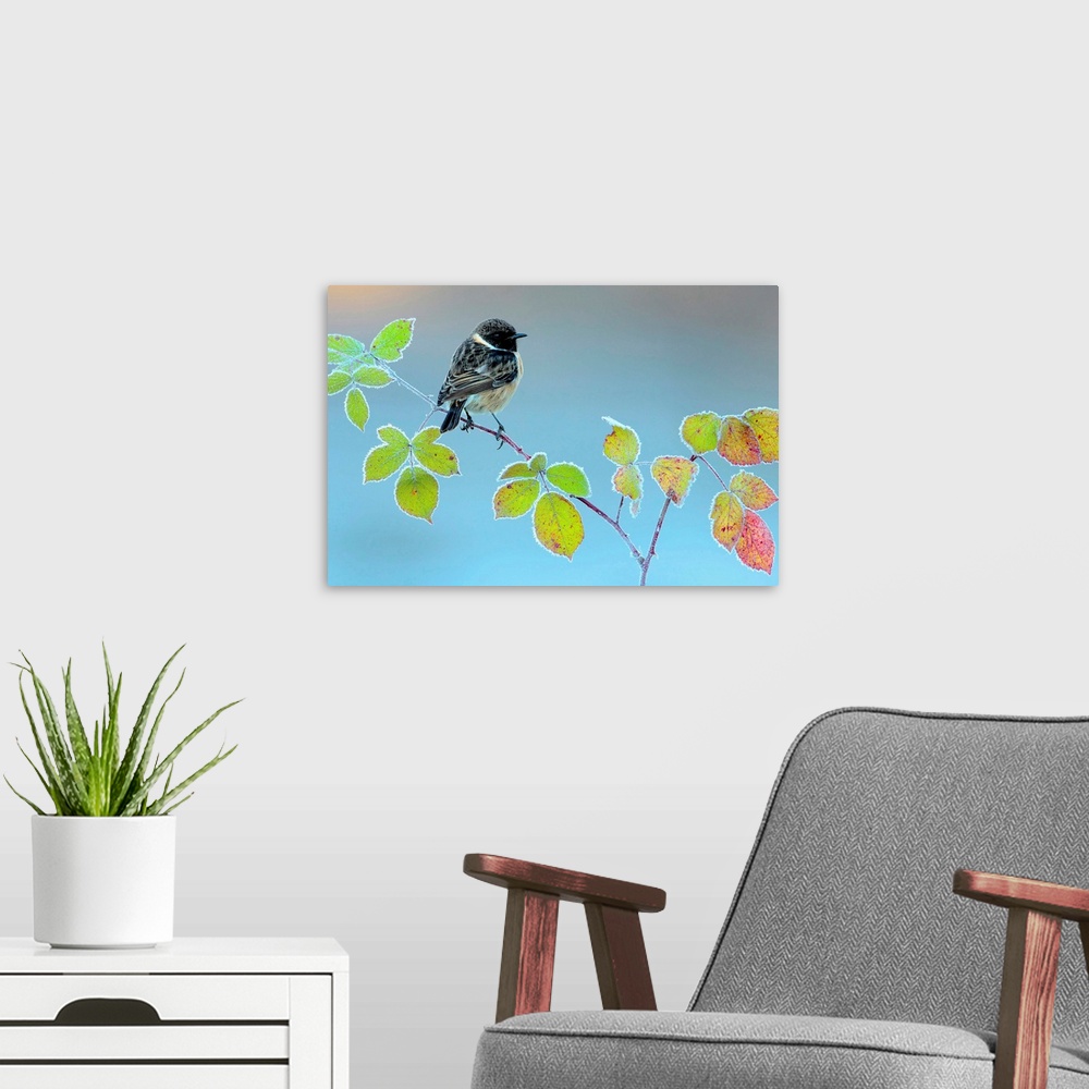 A modern room featuring A little black and white bird on a branch with vibrant green leaves.