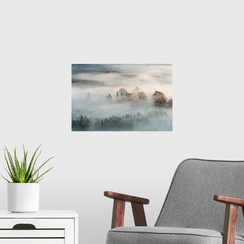 A modern room featuring Landscape photograph of the sunrise with heavy fog during Winter in Italy.