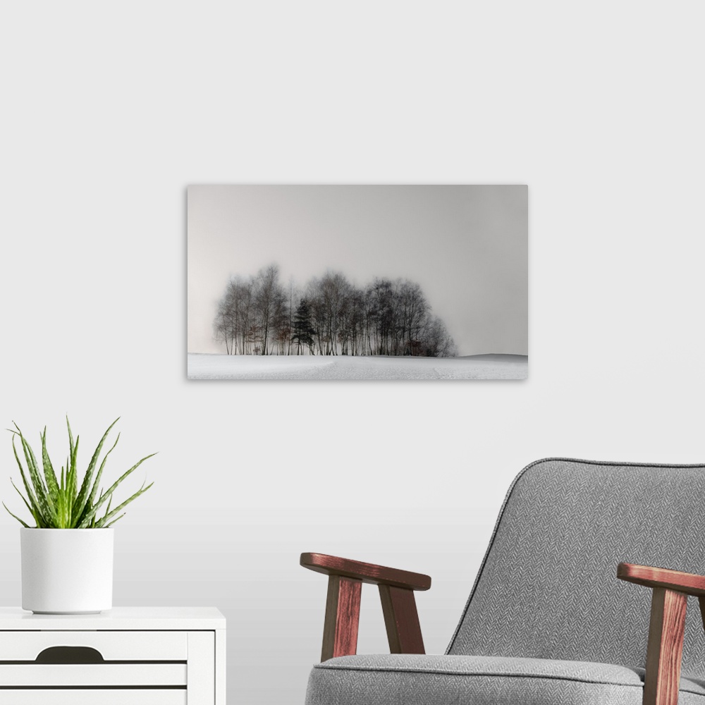 A modern room featuring A grove of trees in a snowy landscape on a grey winter day.