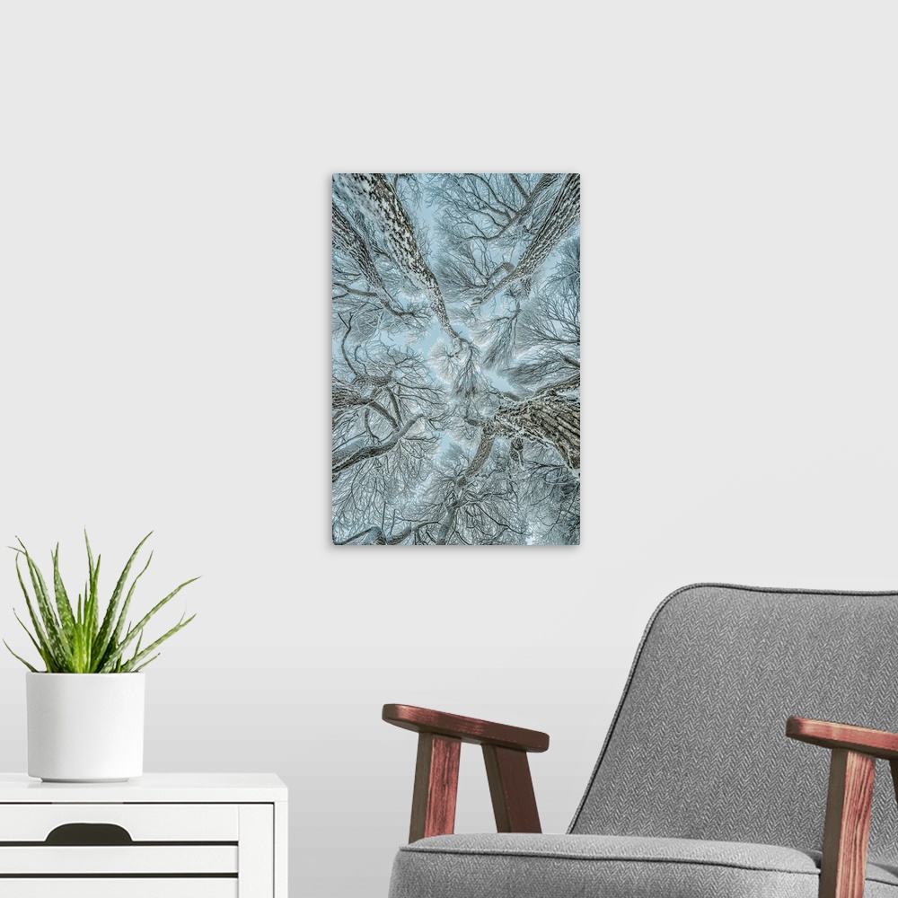 A modern room featuring Winter Frost