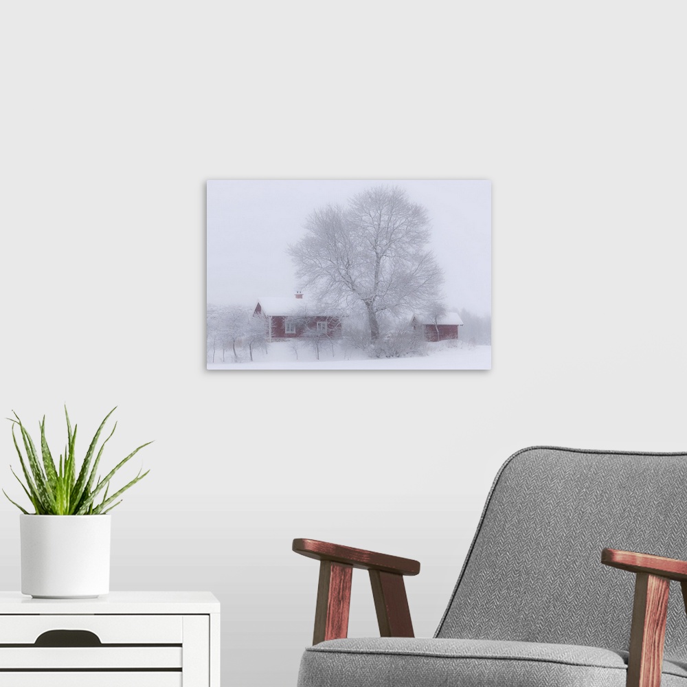 A modern room featuring A farmhouse and barn with a large tree after a heavy snowfall, Sweden.