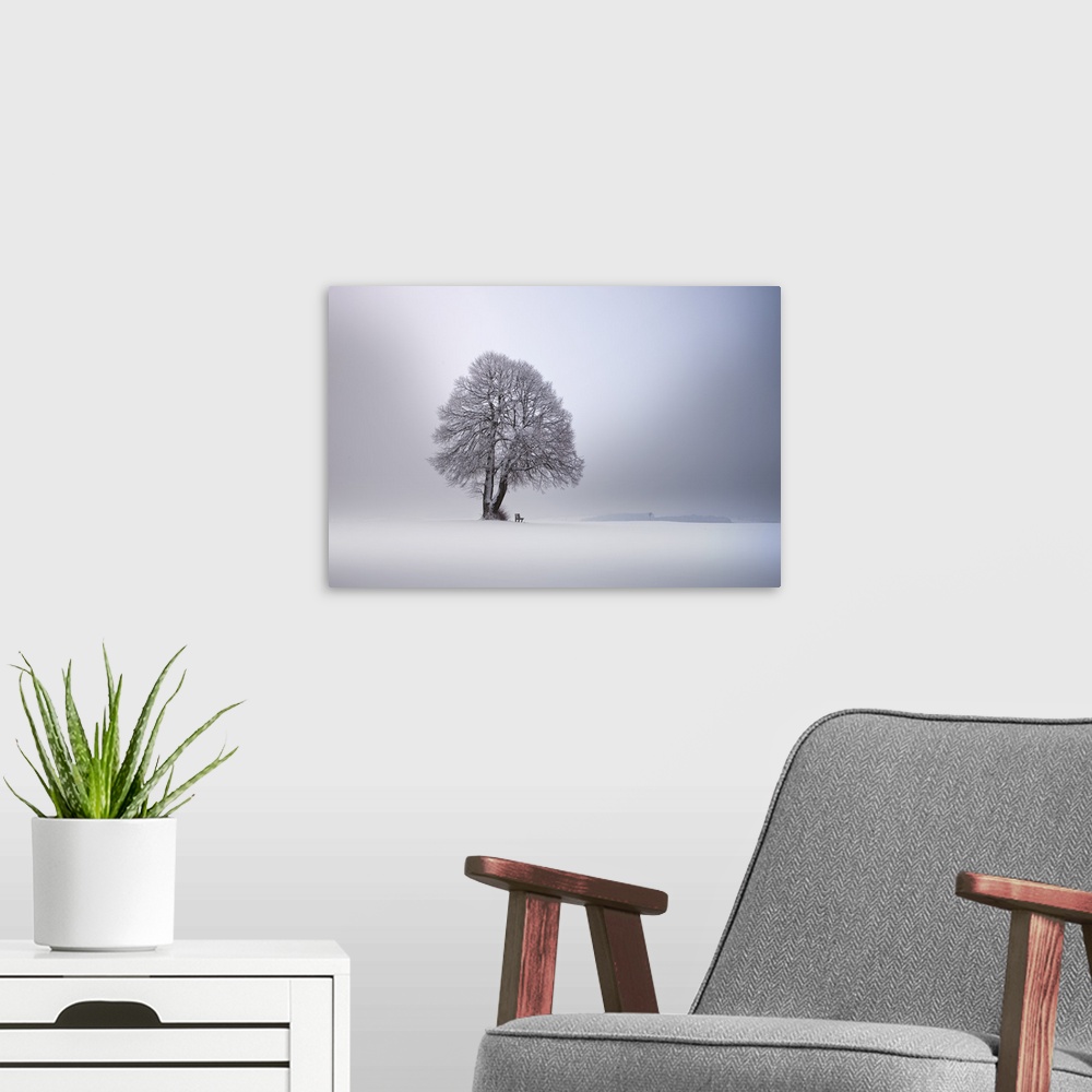 A modern room featuring A lone tree in a snow-covered landscape wit ha small bench, Germany.