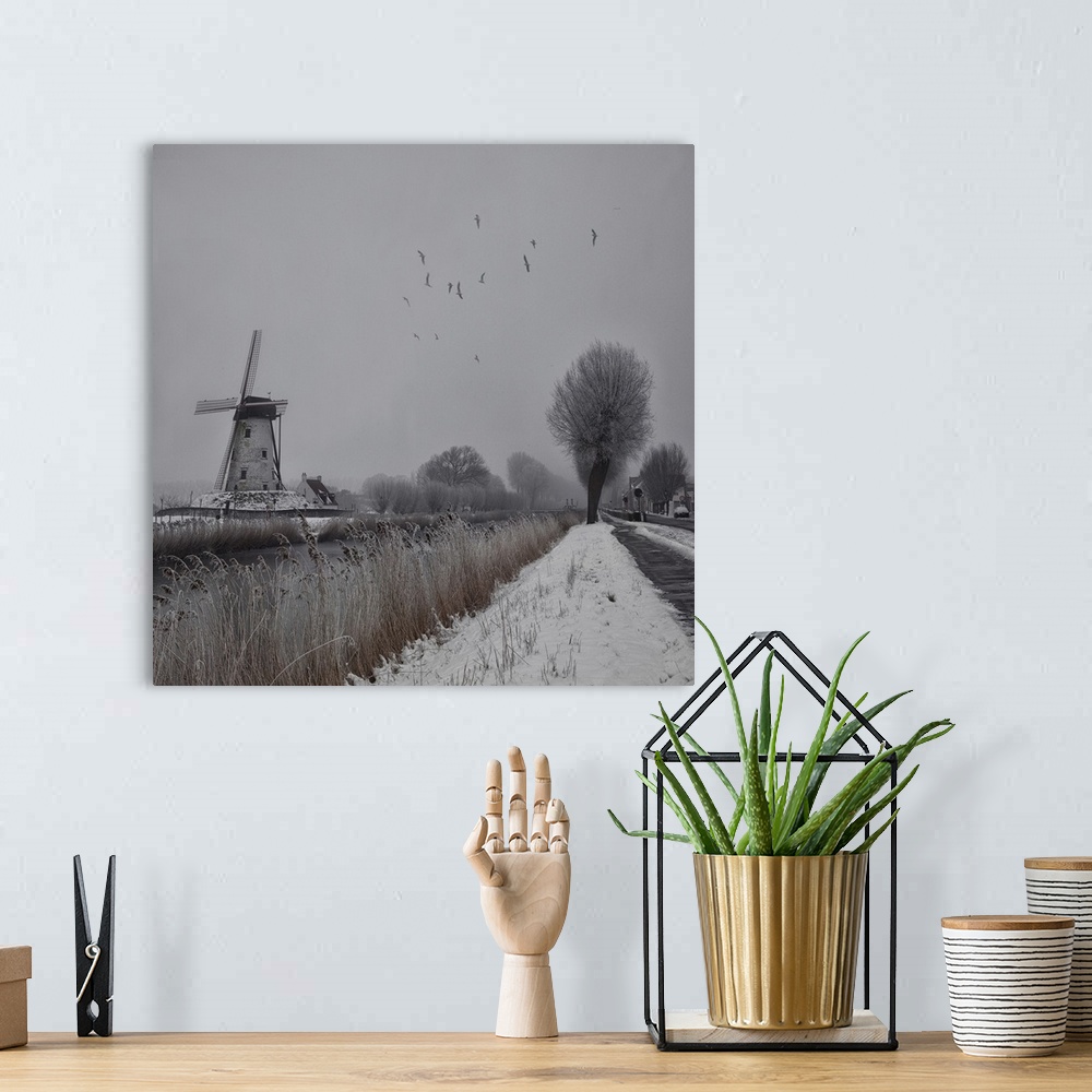A bohemian room featuring Moody image of a windmill and birds in flight over the Belgian countryside.