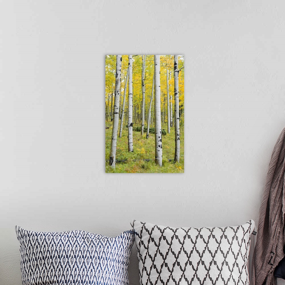 A bohemian room featuring Yellow Birches - Vertical