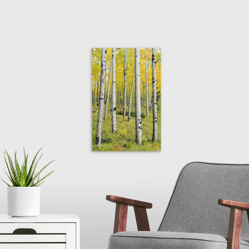 A modern room featuring Yellow Birches - Vertical