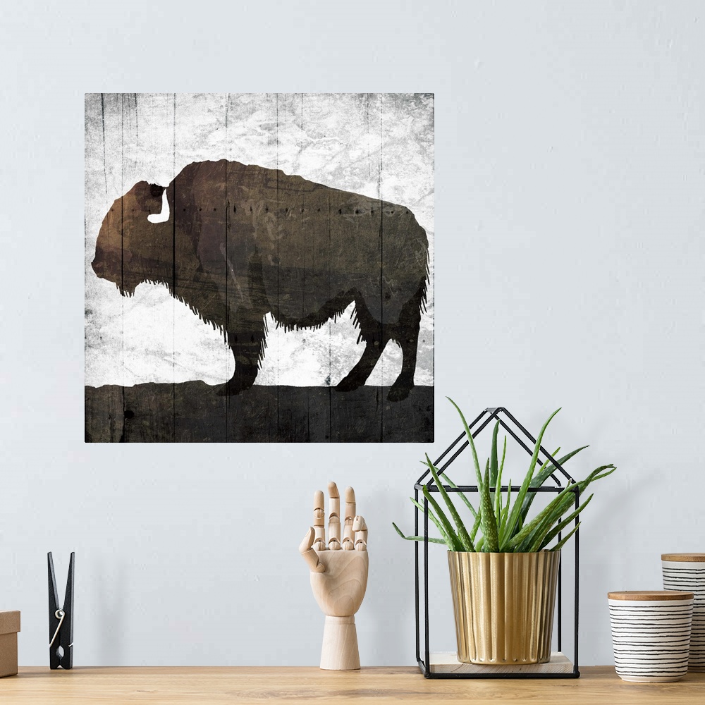 A bohemian room featuring Aged Buffalo