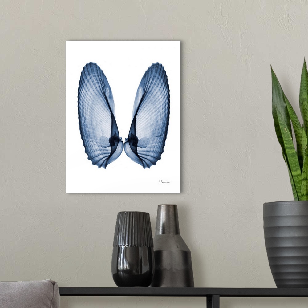 A modern room featuring An x-ray photograph of seashells next to each other like angel wings against a white background.