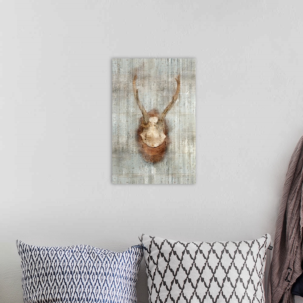 A bohemian room featuring A mounted hunting trophy on a wall with a weathered texture.