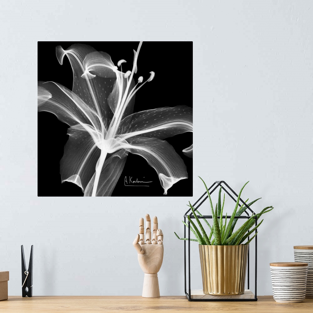 A bohemian room featuring Square canvas photo of a transparent flower.