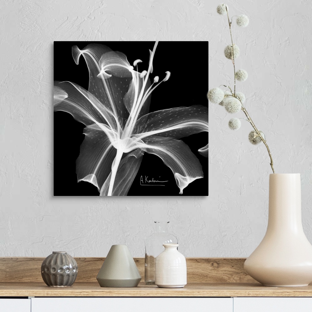 A farmhouse room featuring Square canvas photo of a transparent flower.