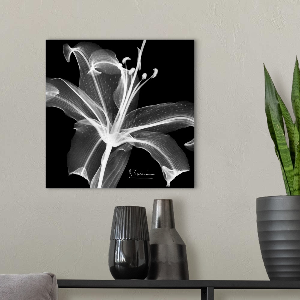 A modern room featuring Square canvas photo of a transparent flower.