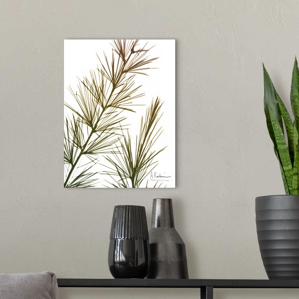 A modern room featuring An x-ray print of sequoia branches with green, yellow, and red tones.