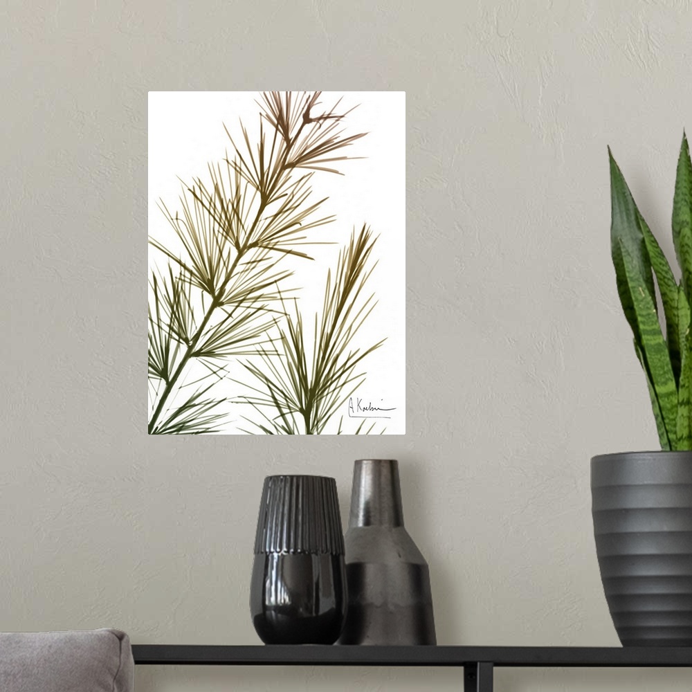 A modern room featuring An x-ray print of sequoia branches with green, yellow, and red tones.