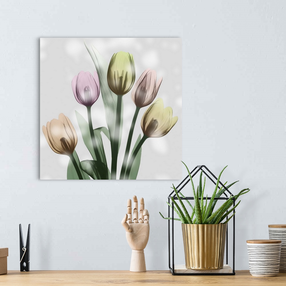 A bohemian room featuring Awakening Tulips
