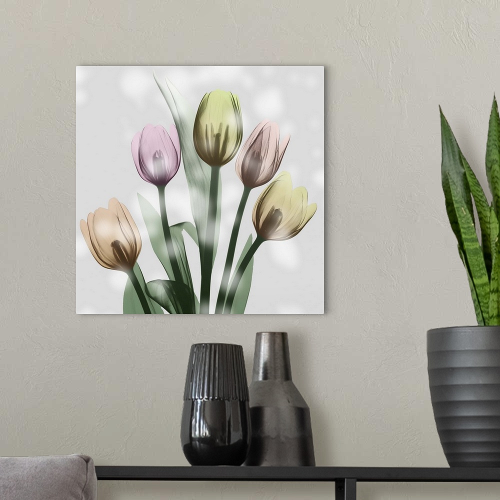 A modern room featuring Awakening Tulips