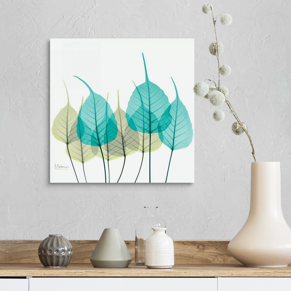 A farmhouse room featuring Giant, square fine art, X-ray photograph of a group of leaves in blues and greens on a solid whit...