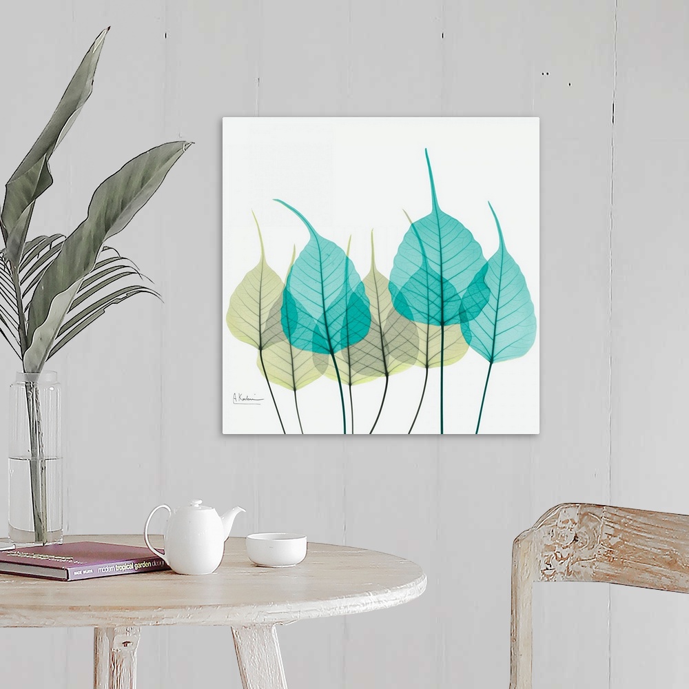 A farmhouse room featuring Giant, square fine art, X-ray photograph of a group of leaves in blues and greens on a solid whit...