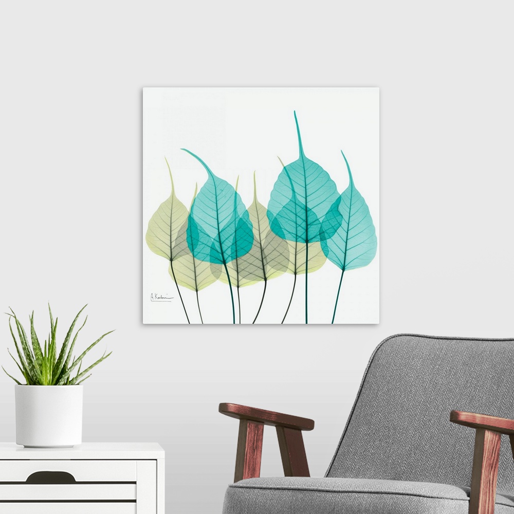 A modern room featuring Giant, square fine art, X-ray photograph of a group of leaves in blues and greens on a solid whit...