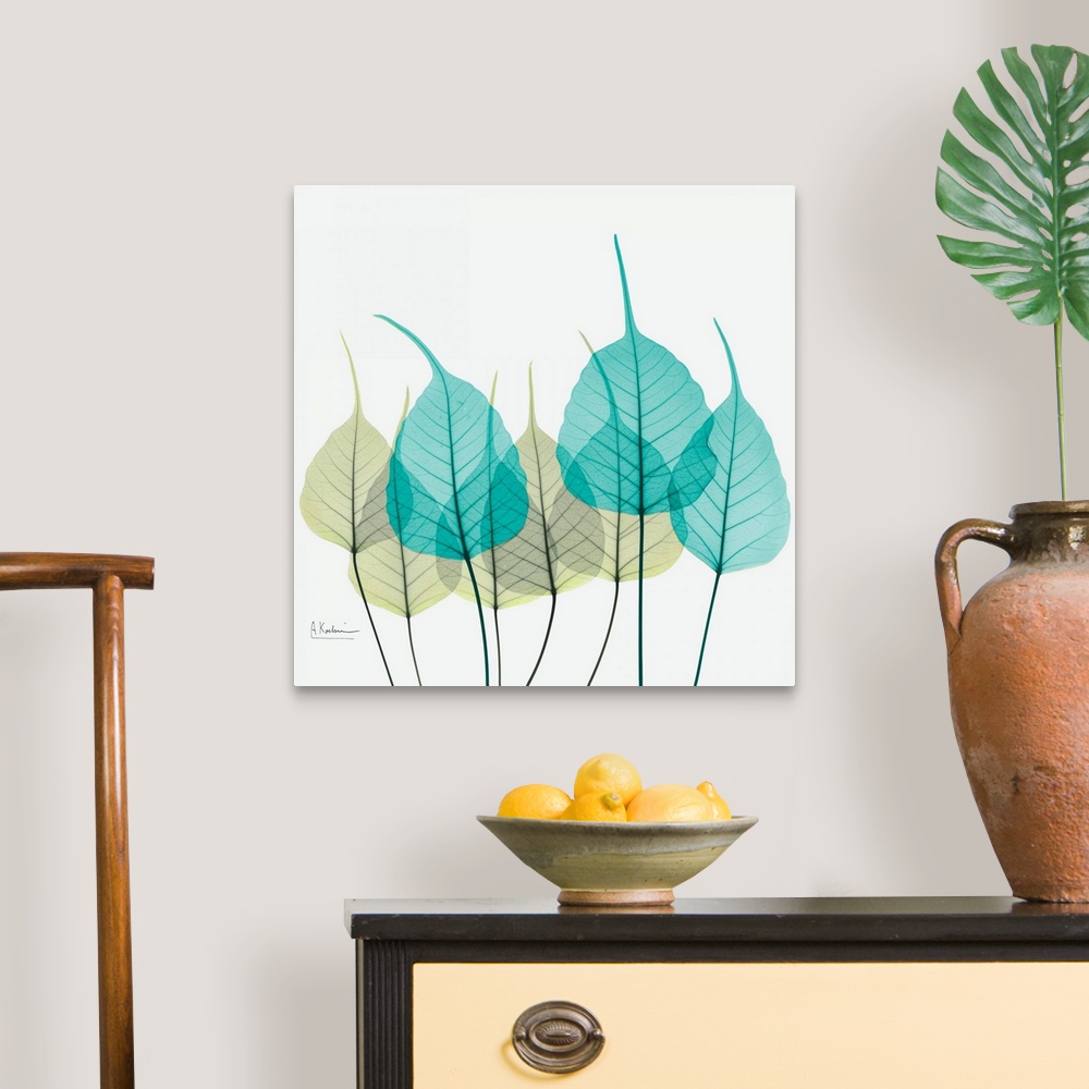 A traditional room featuring Giant, square fine art, X-ray photograph of a group of leaves in blues and greens on a solid whit...