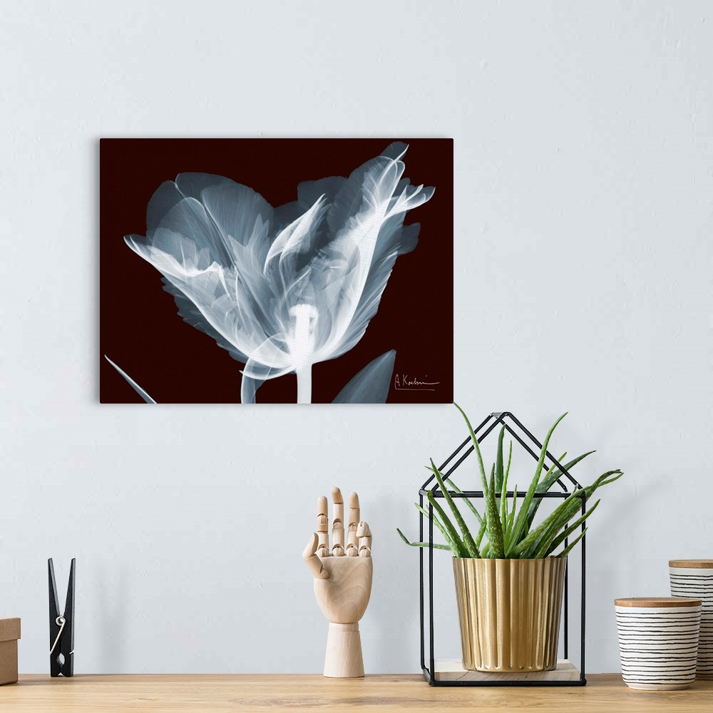 A bohemian room featuring X-Ray photograph of a flower against a dark background.