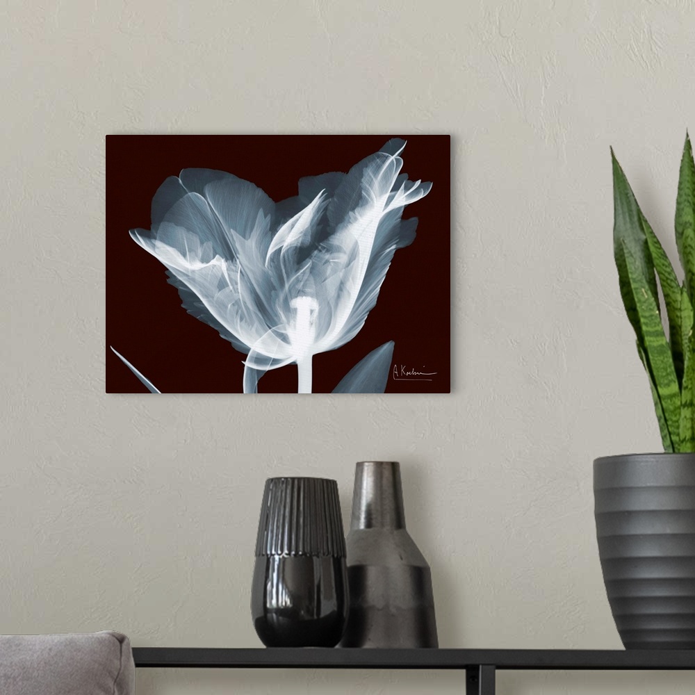 A modern room featuring X-Ray photograph of a flower against a dark background.
