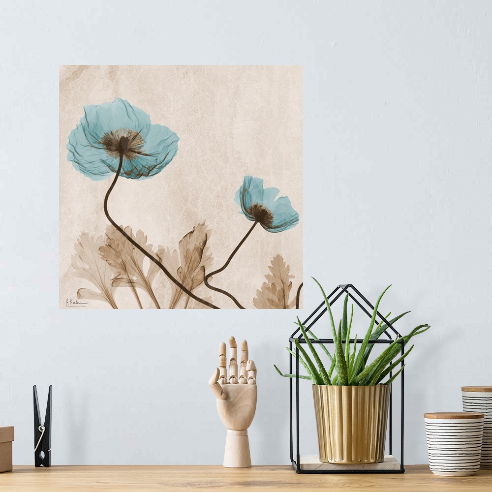 A bohemian room featuring Photograph of flower showing it's stem and petal structures on an abstract background with a subt...