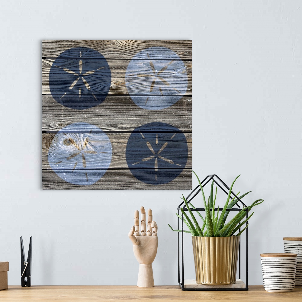A bohemian room featuring Blue Sand Dollars