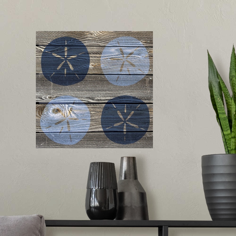 A modern room featuring Blue Sand Dollars