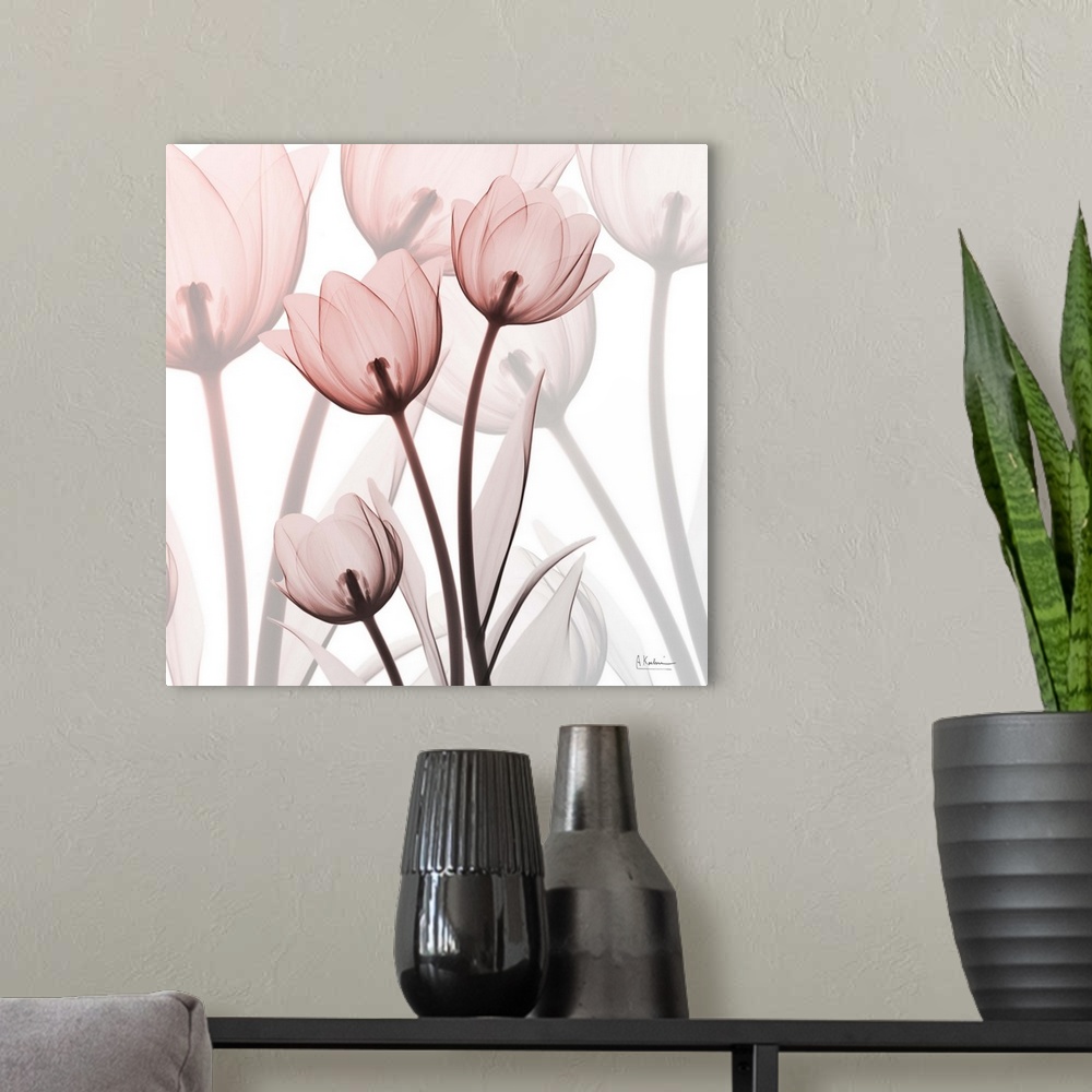 A modern room featuring Blush Luster Tulips