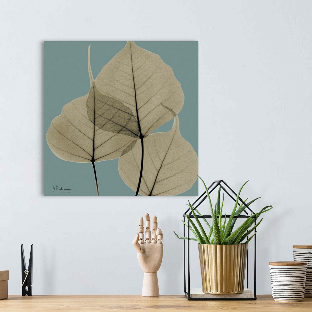 A bohemian room featuring Square x-ray photograph of a group of leaves on the end a tree branch, against a cool toned backg...