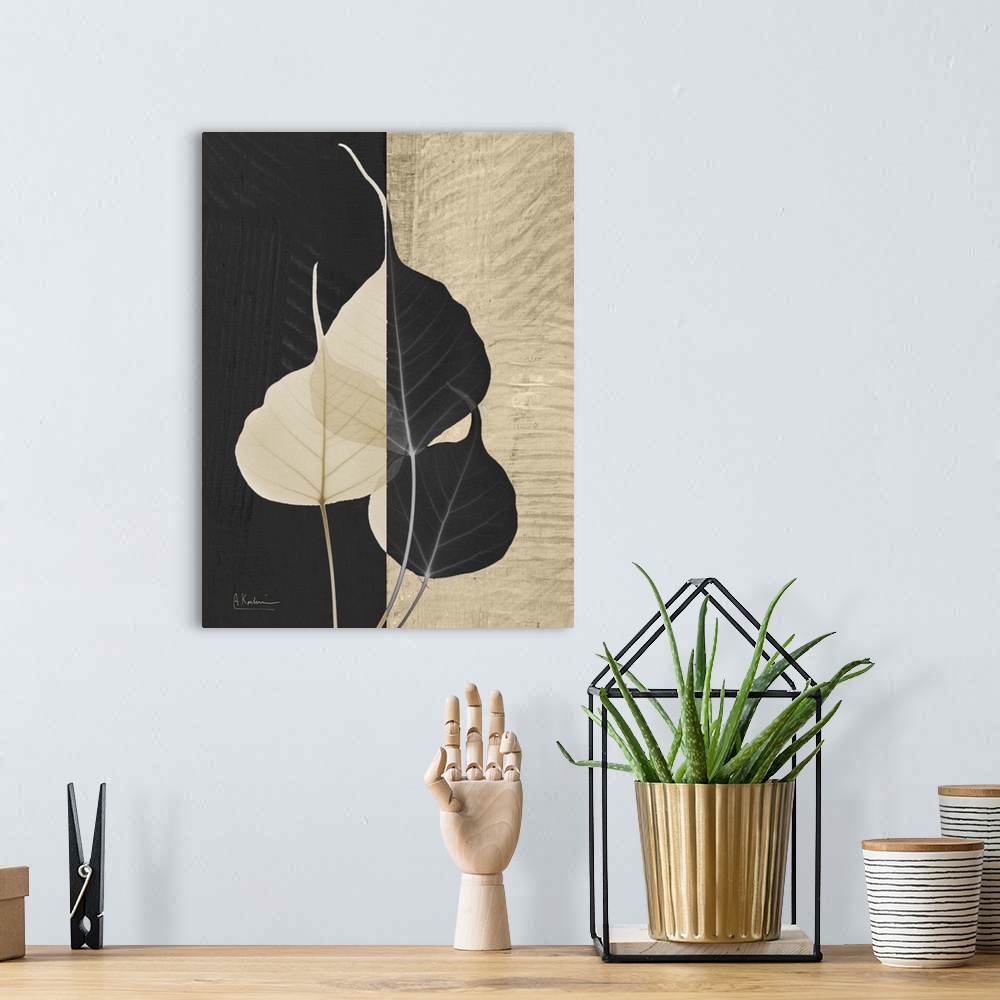 A bohemian room featuring Bo Tree Leaf X-Ray Photograph