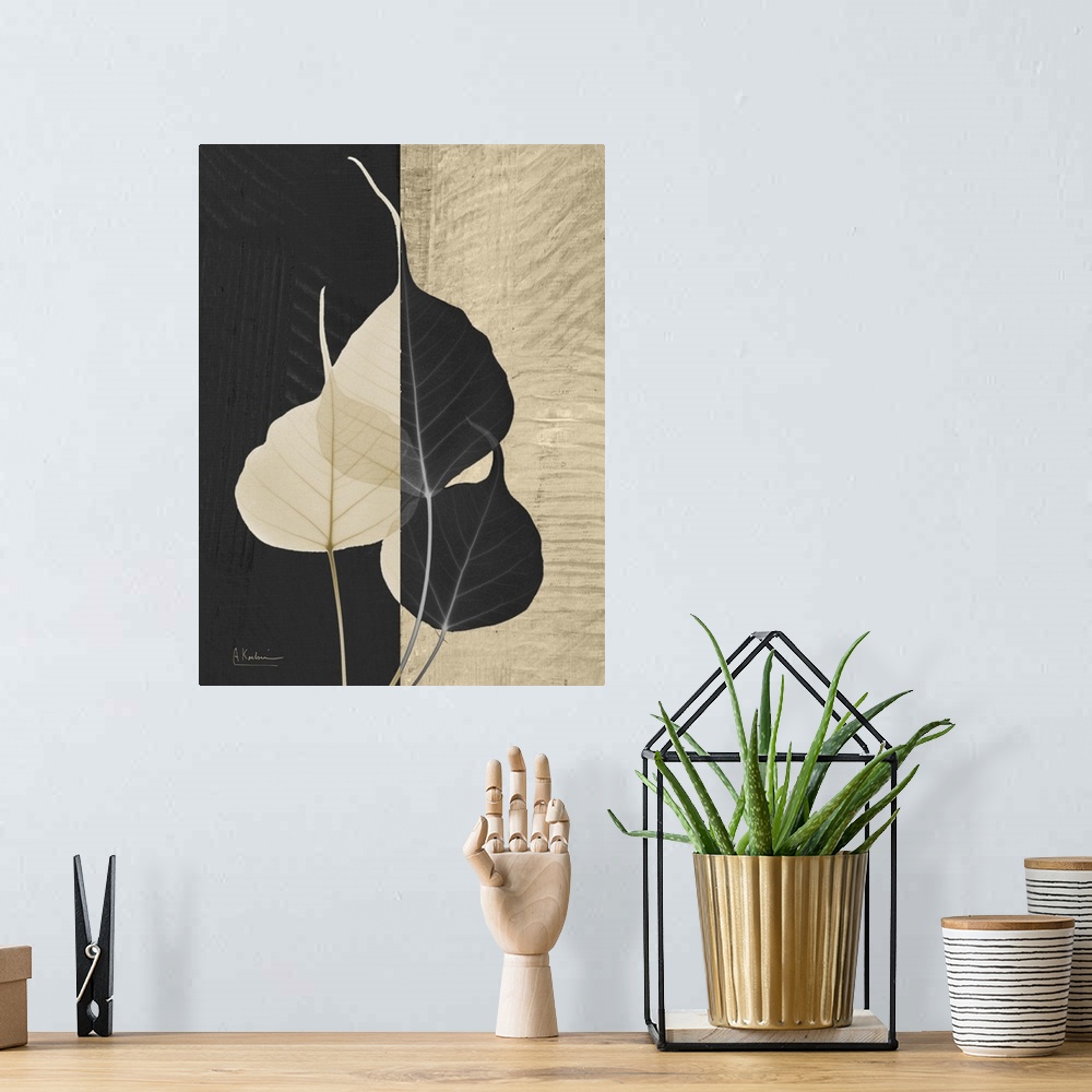 A bohemian room featuring Bo Tree Leaf X-Ray Photograph