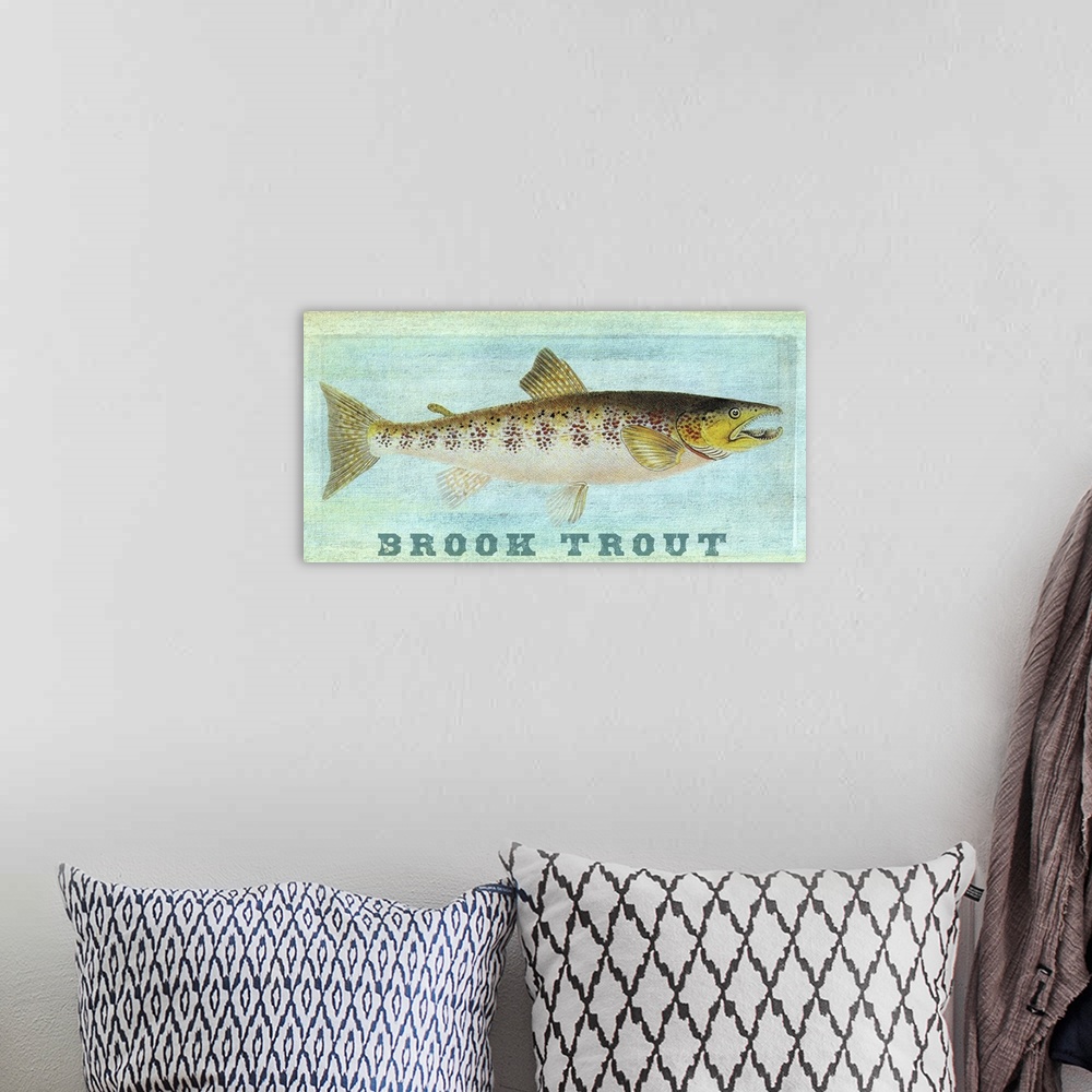 A bohemian room featuring Brook Trout